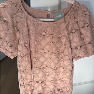 Anthropologie Maeve Blush Lace Blouse